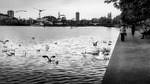 copenhagen, denmark, city