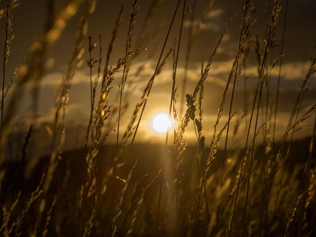 Free Sunset Day S photo and picture