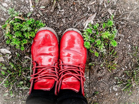 Herbst, Natur, Herbst Schuhe, Gras