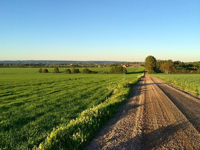 Sommer, Sydsverige, Bill Holm, Sverige