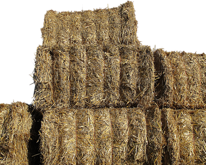 Free Isolated Straw Bales photo and picture