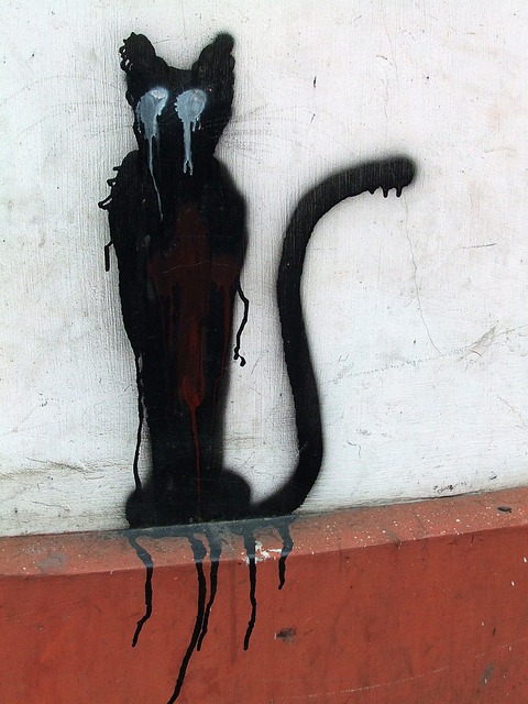 Street Art Graffiti Cat - Free photo on Pixabay