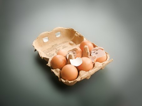 Free Eggs Box photo and picture
