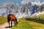 dolomites, mountains, italy