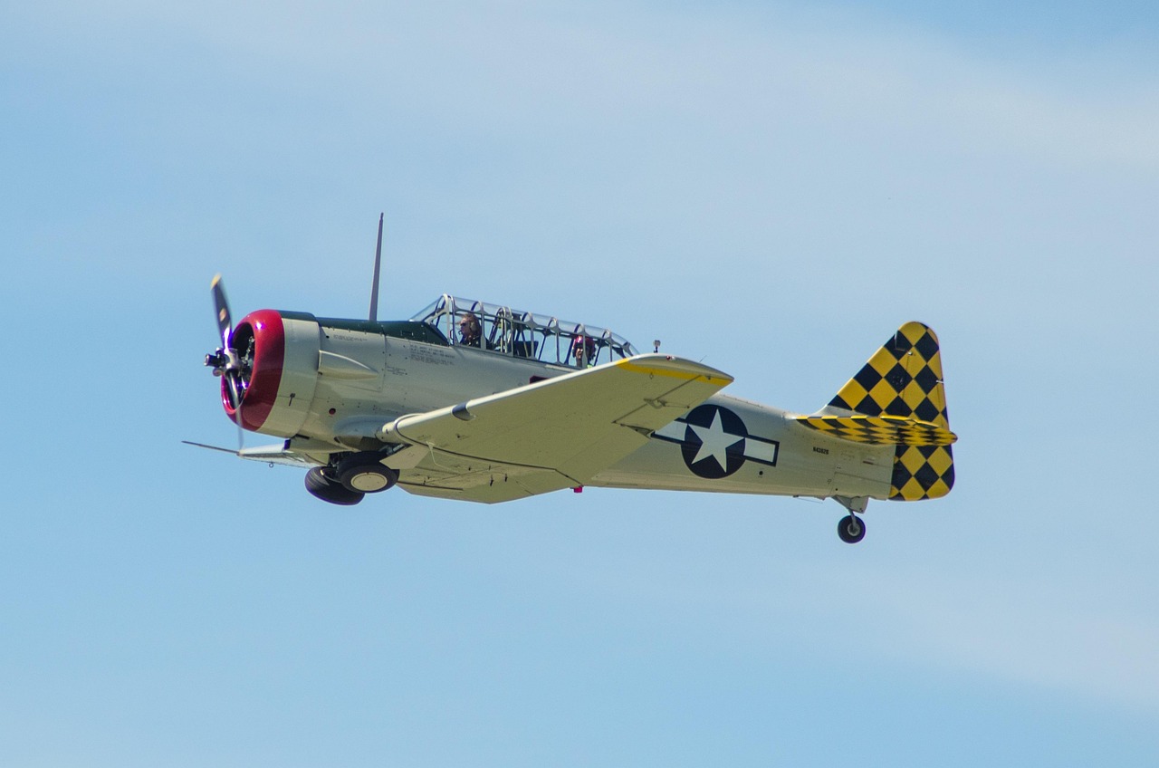 Warbird - free online jigsaw puzzle photo