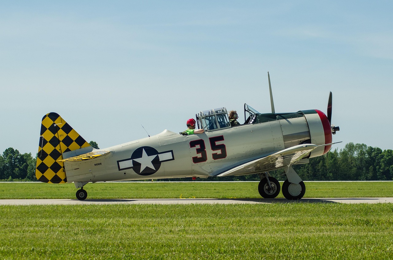 Warbird - free online jigsaw puzzle photo