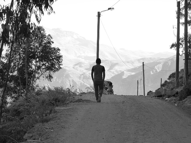 Free Loneliness Somber photo and picture