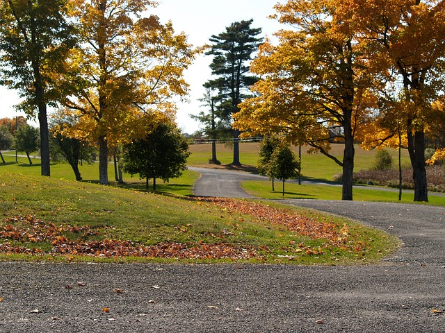 Free Autumn Fall photo and picture