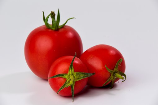 Free Tomato Vegetables photo and picture