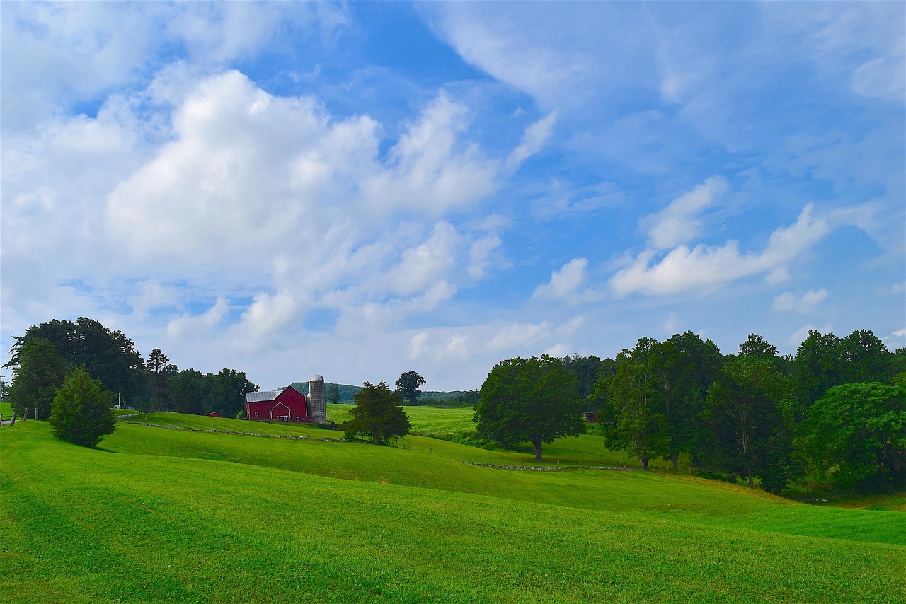 Landscape - free online jigsaw puzzle photo