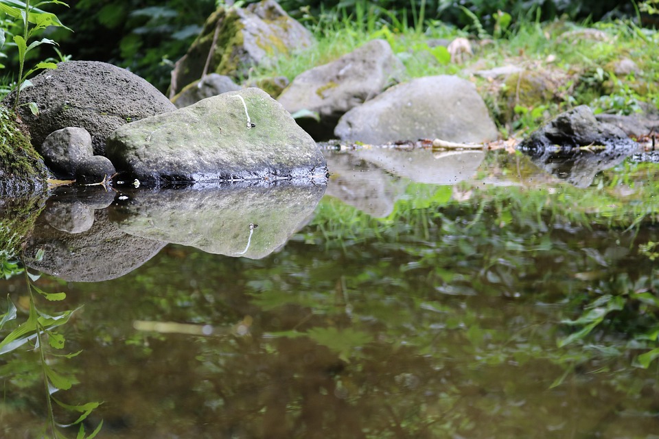 Wild and Wonderful: 8 Must-See Spots on Your Azores Itinerary