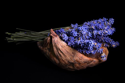 Free Lavender Coconut photo and picture