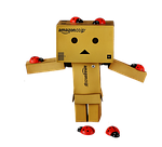 lots of luck, ladybug, lucky ladybug