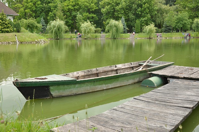 Free Lake Boat photo and picture