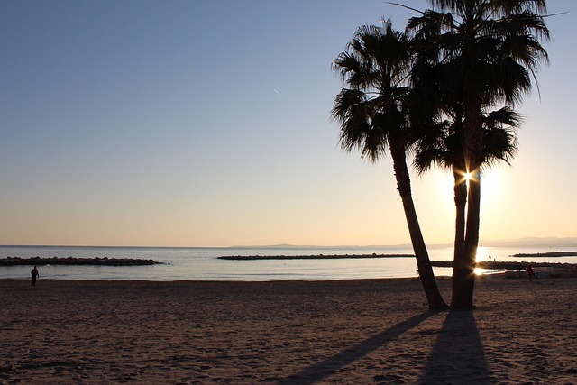 Sol, Playa, Palm