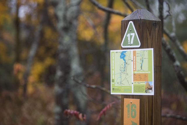 Free Map Rustic photo and picture