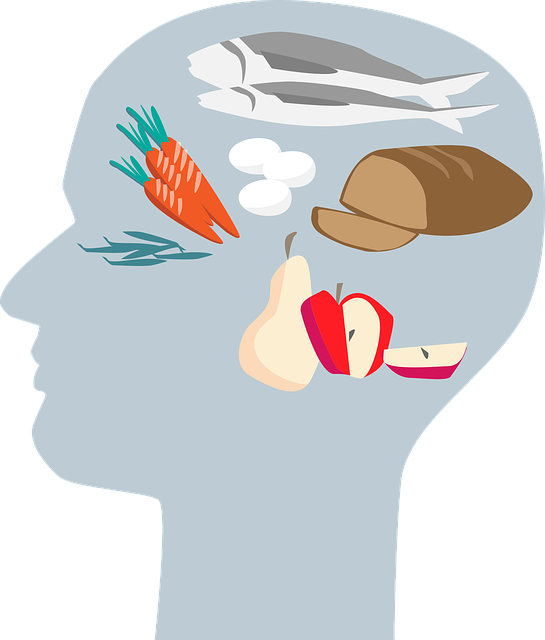 Free Head Brain vector and picture