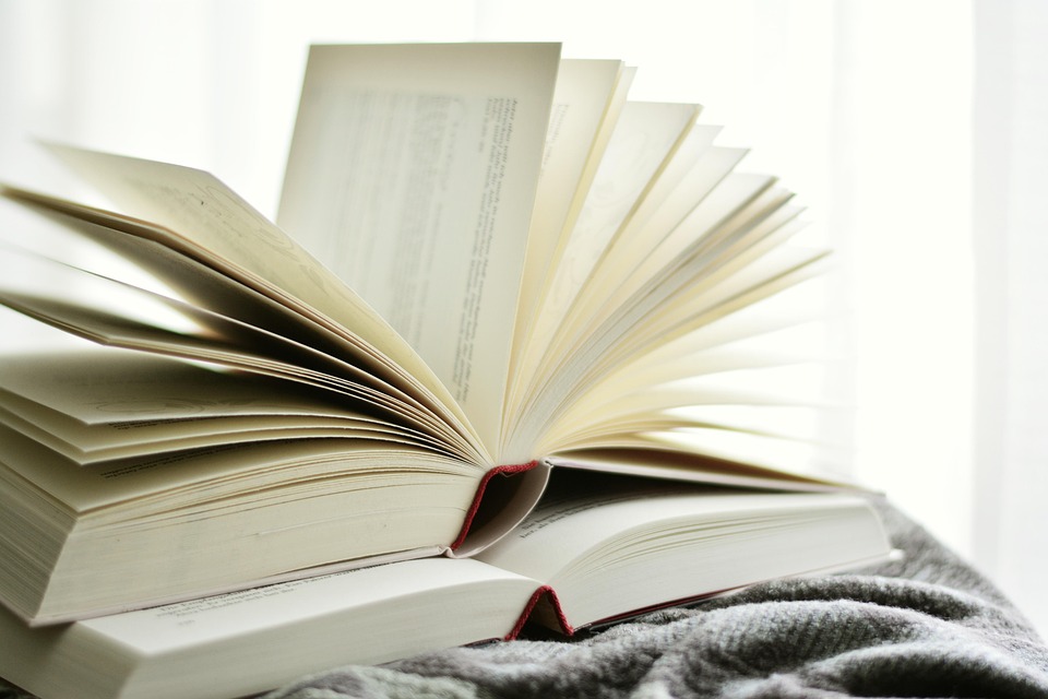 Livres Pages De Livre Lanc Photo Gratuite Sur Pixabay
