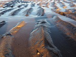 ebb, flood, water