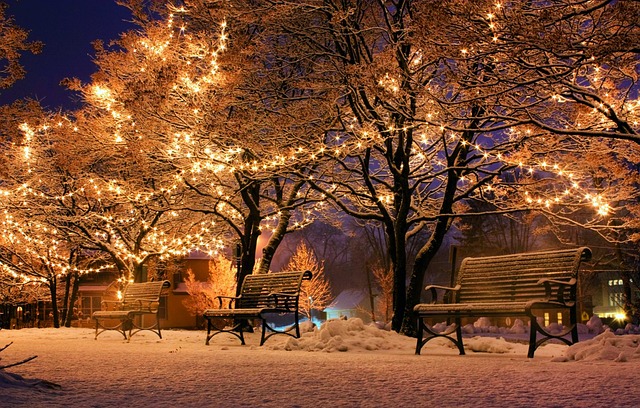 Bank, Christmas, Light, Christmasbackground