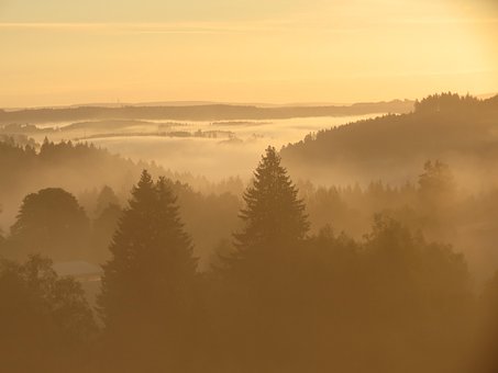 Free Black Forest Morning Mist photo and picture