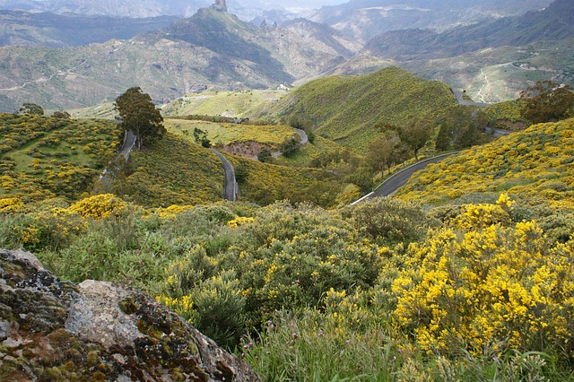 Free Road Terrain photo and picture