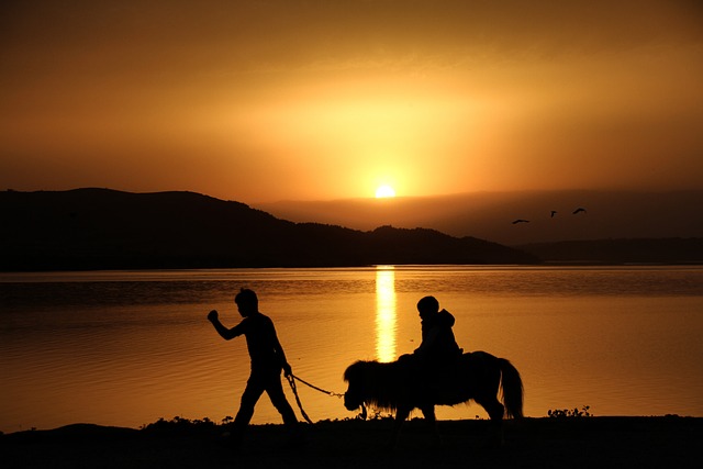 Free Silhouette Pony photo and picture