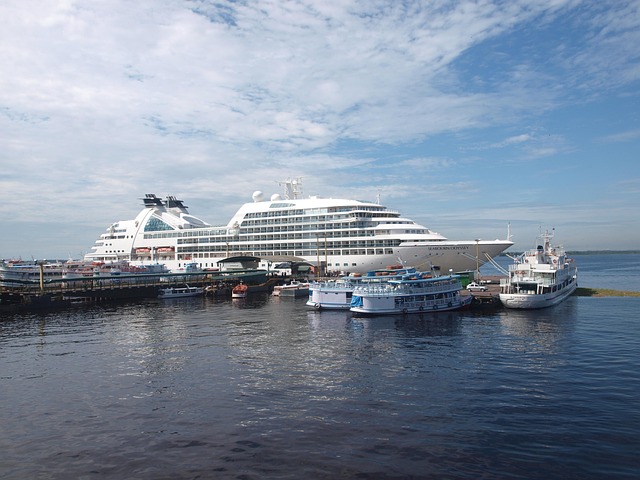 Free Manaus Brazil photo and picture