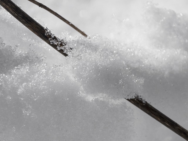 Schnee, Nevada, Winter, Nevado