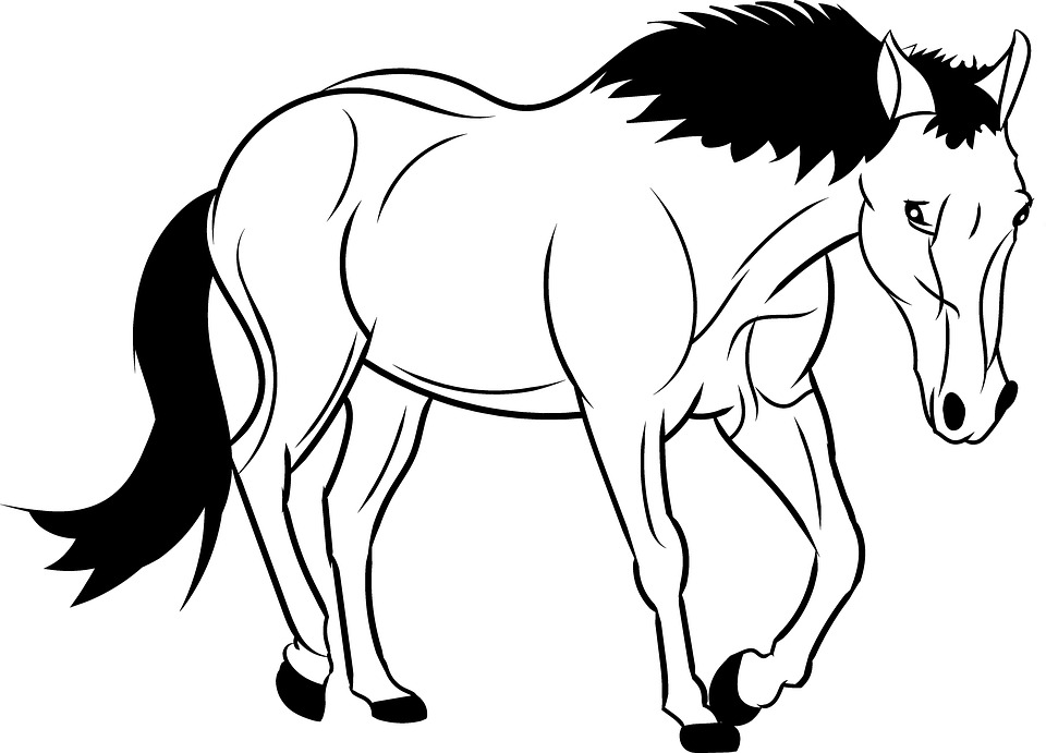Horse Clipart Outline Horse Clipart Outline