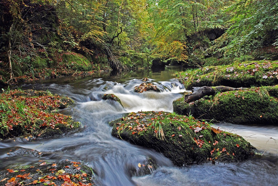 Water Scotland Scotland River Water - Free photo on Pixabay - Pixabay