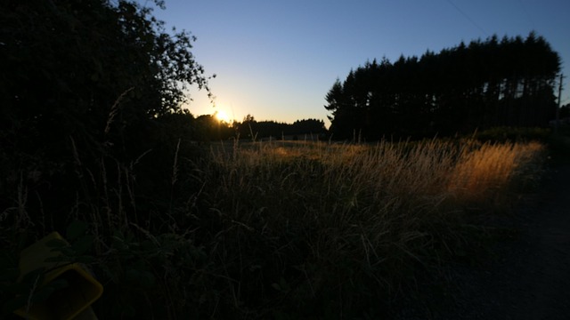 Free Field Dusk photo and picture