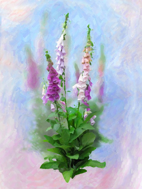 Free Flower Flower Background photo and picture
