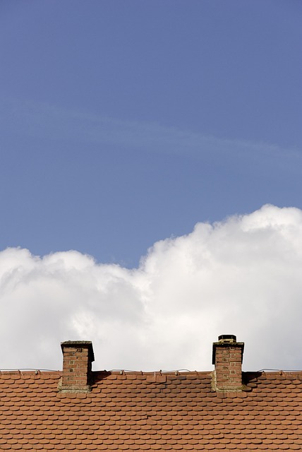 Free House Roof photo and picture