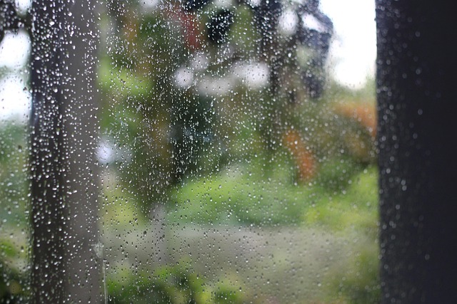 Chuva, Natureza, Água