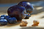 plum, sloe, fruit