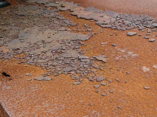 Free Rust Red-Brown photo and picture