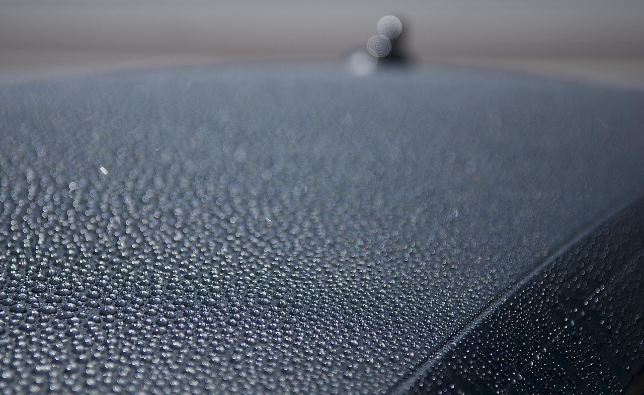 Mobile Detailing