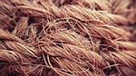 braid of coconut, macro, stiff cloth