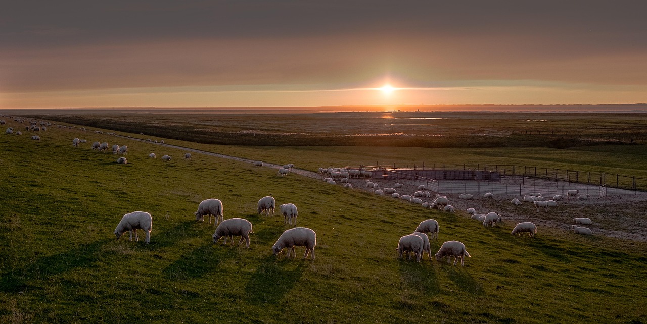 Ostfriesland - free online jigsaw puzzle photo