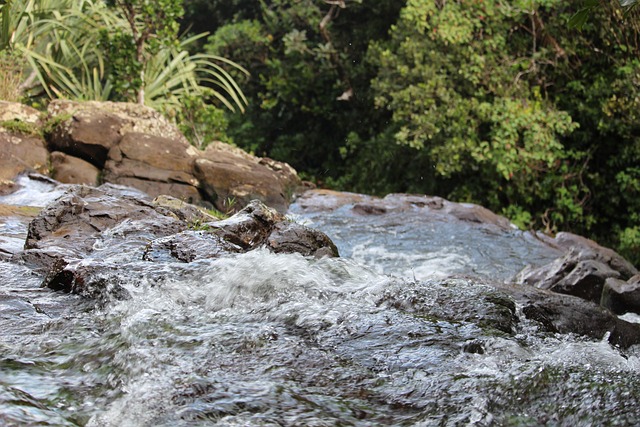 Free Water Nature photo and picture