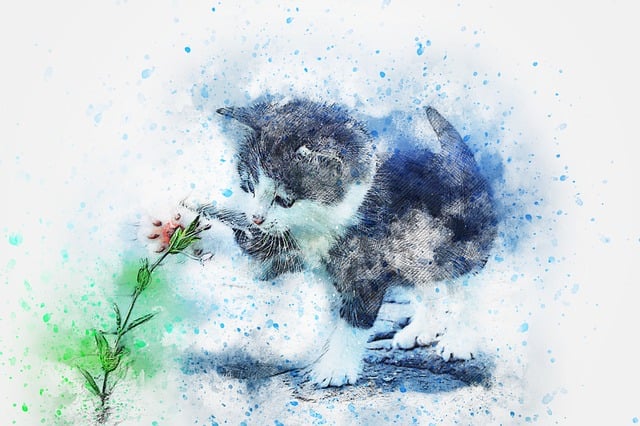 Free cat pet kitty illustration