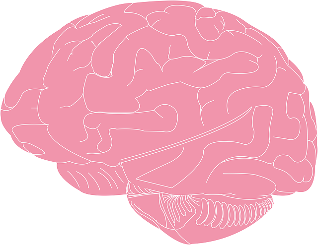 Free Brain Science illustration and picture