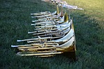 music, musical instruments, horns