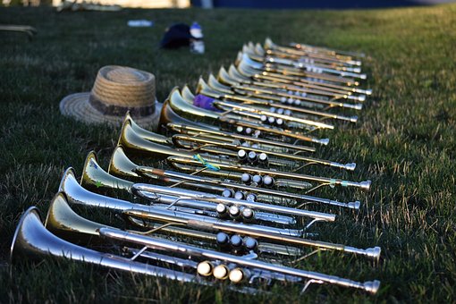 Musik, Natur, Musikinstrumenter, Horn