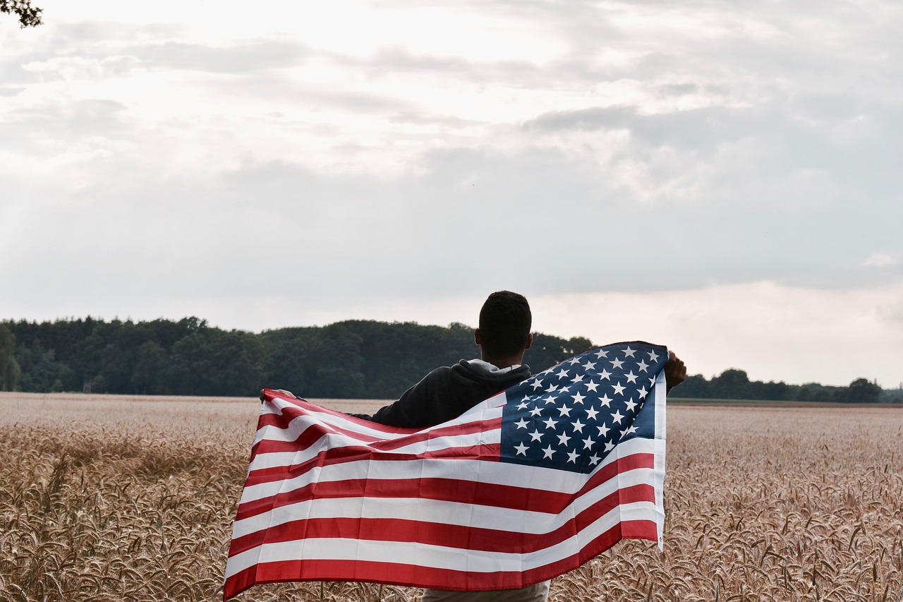 Usa - free online jigsaw puzzle photo
