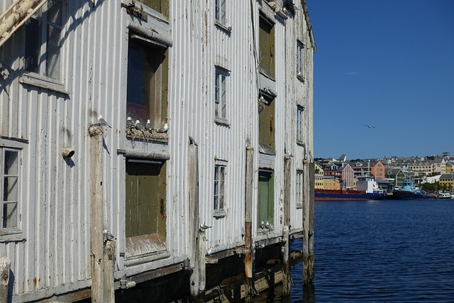Kyst, Måge, Indlejring