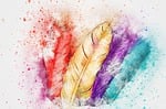 feathers, bird, animal