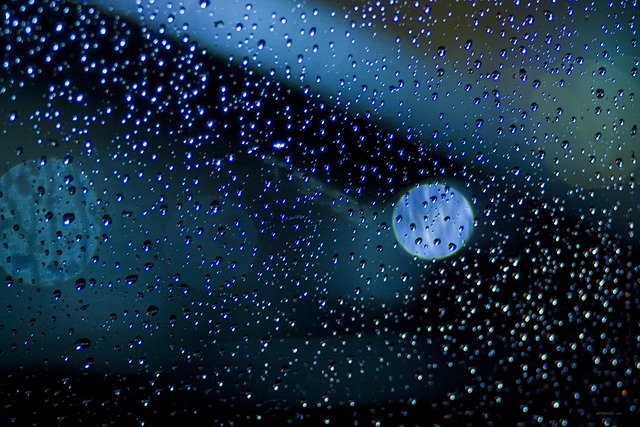 Dunkel, Nass, Wasser, Natur, Regen