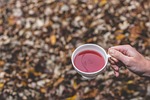 leaf, fall, autumn